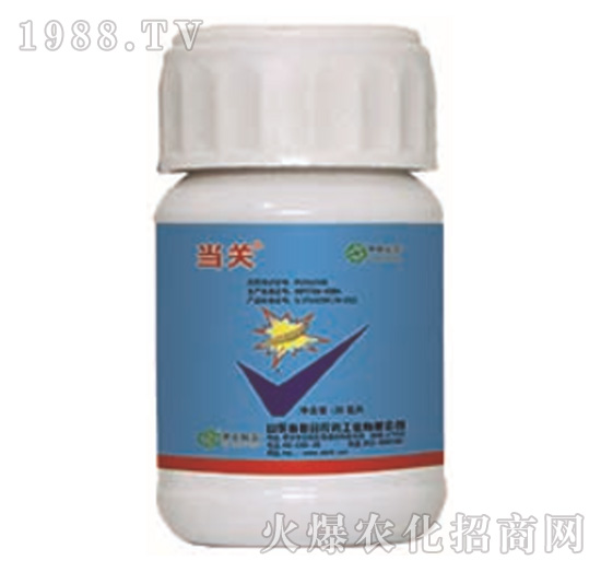 24%�����x(ch��ng)����+5%���S����-��(d��ng)�P(gu��n)-���r(n��ng)(li��n)��