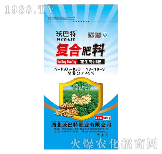 �������ÏͺϷ���18-18-9-�ְ���