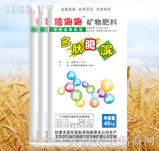 礦物肥料-多肽胞脲-嘻唰唰-豐田農(nóng)業(yè)