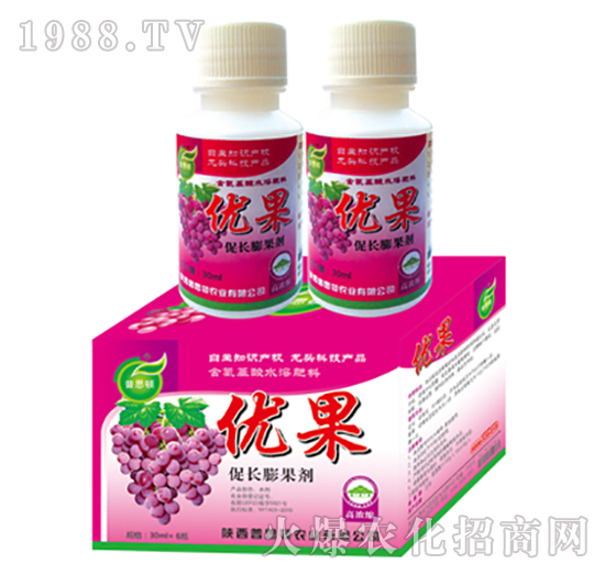 ���L�����-��(y��u)��-��˼�D�r�I(y��)