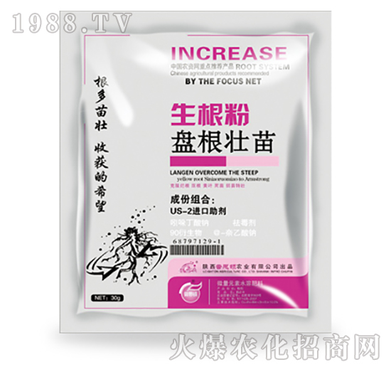 �P������������-��˼�D�r�I(y��)