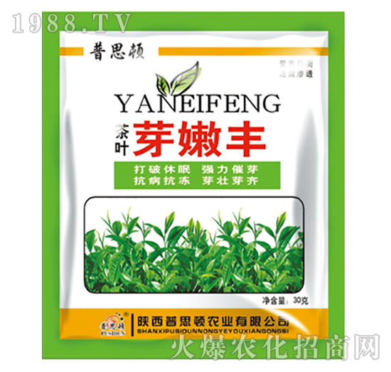 ���~��ѿ�S-��˼�D�r�I(y��)