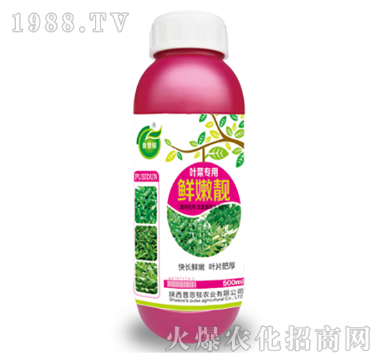 �~�ˌ����r���n-��˼�D�r�I(y��)