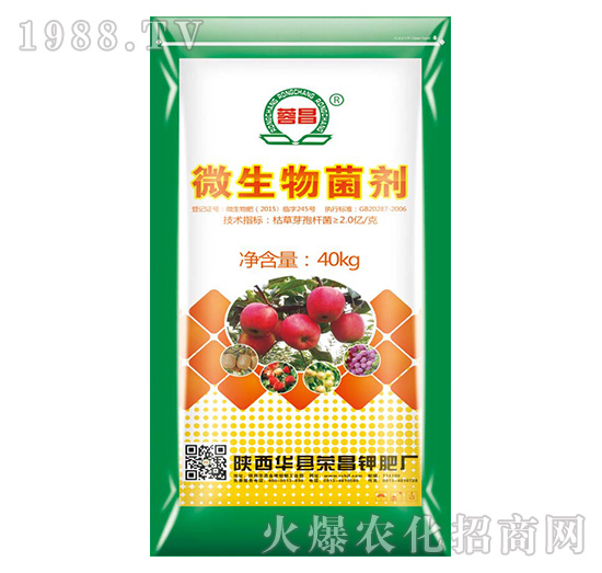 ΢�������-�s��