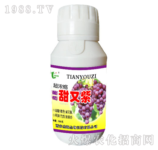 ����������-��������