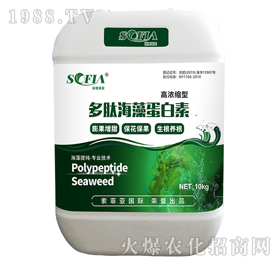 ���ĺ��嵰����-���Ɓ�