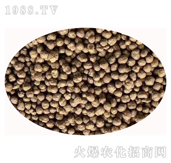 �����{�턩-�Z�M�}