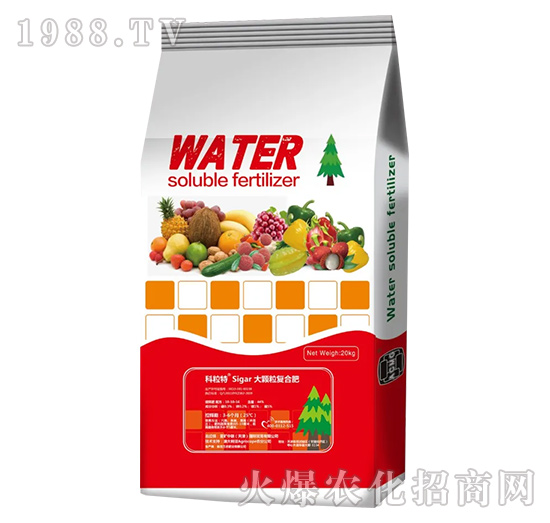 ���w����ጷ�-���V��(li��n)