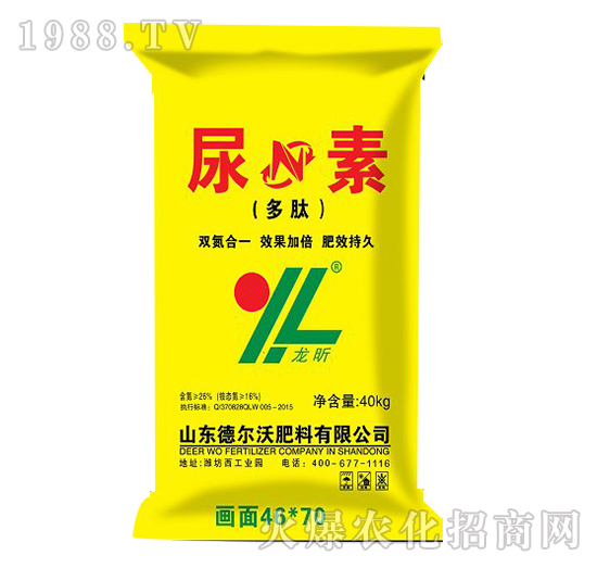 ��������-���-��?t��ng)��? style=