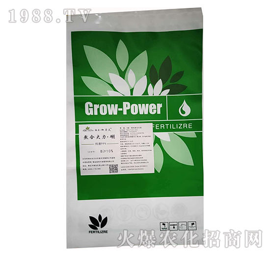 ���ϴ�������-����������