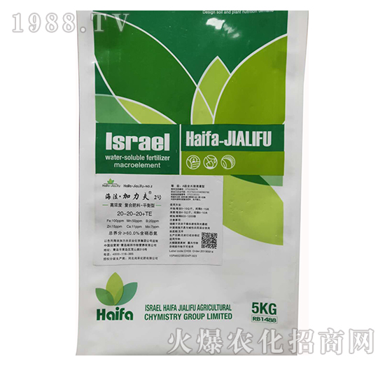 ƽ���͏�(f��)�Ϸ���20-20-20+TE-����������2̖-����������