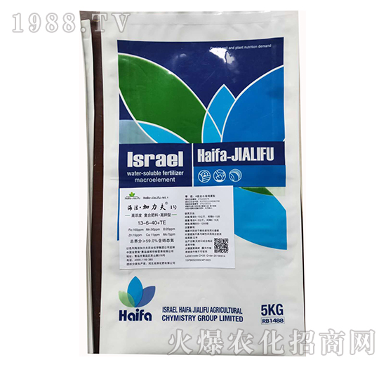 ����͏�(f��)�Ϸ���13-6-40+TE-����������1̖(h��o)-����������