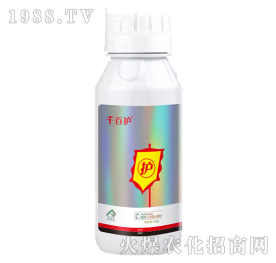 22%���ѡ��������x-ǧ���o-�����r