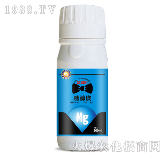 �Ǵ��V-��ܼ�-���