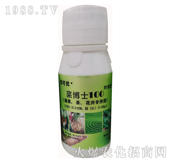 �˲�ʿ100���߲ˡ��������܌��ã�-���Ƀ�(y��u)-��Ɔ���