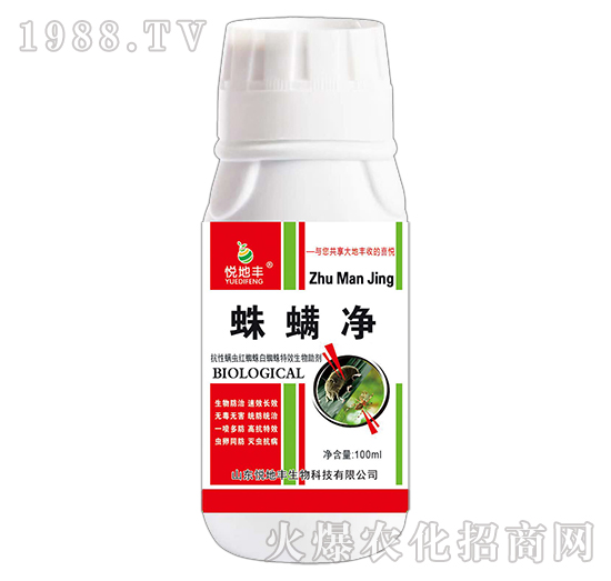 ������-�����S