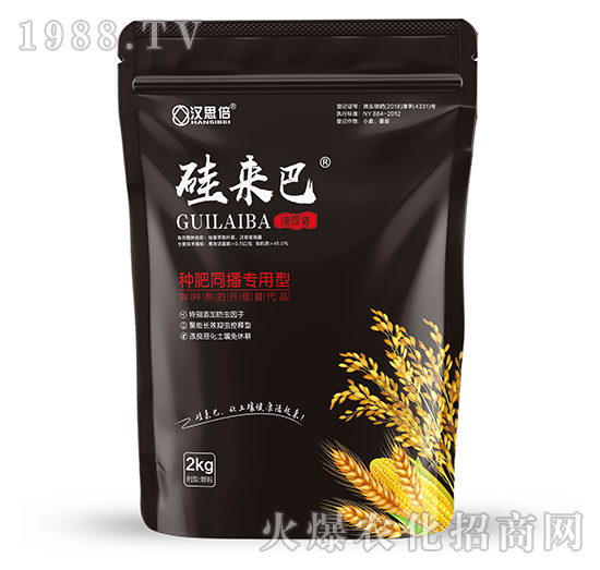 �����-�h˼����