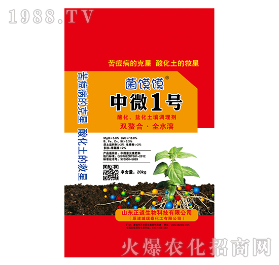 �ữ�}�A�������{�턩-��΢1̖-���x�x-��������