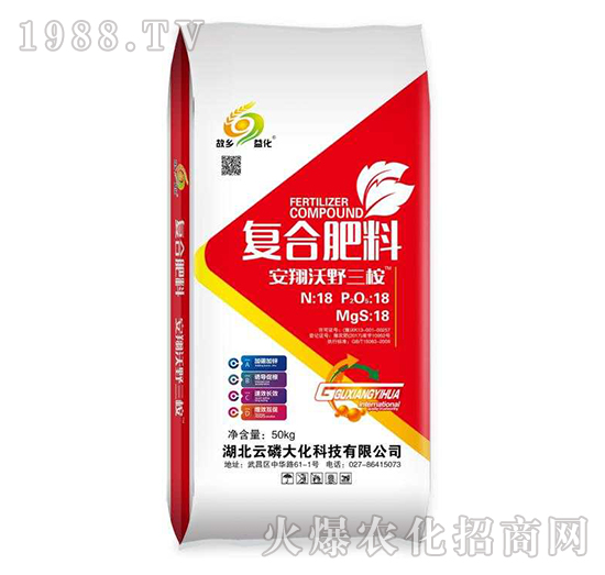 �ͺϷ���-������Ұ����-���״�