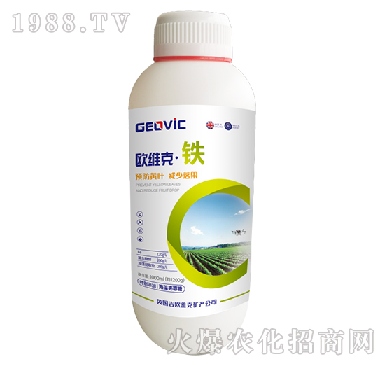 �W�S�ˡ��F-�A�˱���