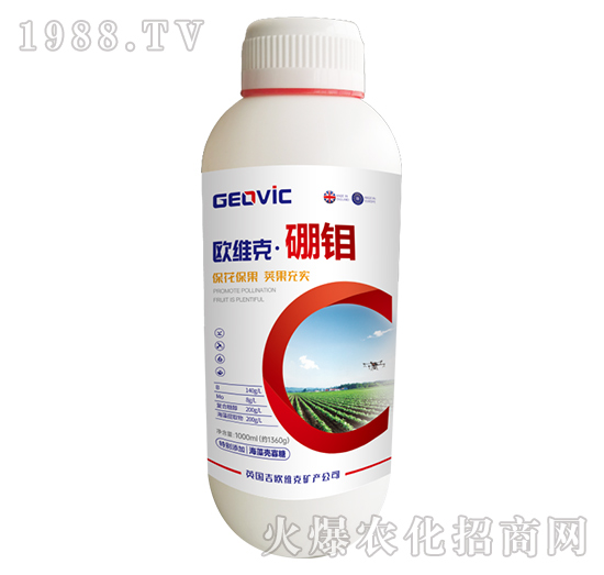 �W�S�ˡ����f-�A�˱���