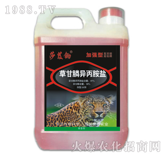 41%�ݸ�좮������}���ӏ��ͣ�-ɯܸ�z-�ݵ�˹