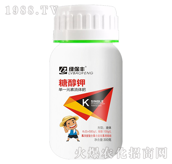 �Ǵ��-�G���S-���z��