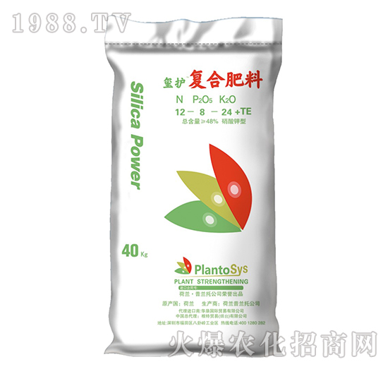 ����⛏�(f��)�Ϸ���-�t�o(h��)-���؇��H