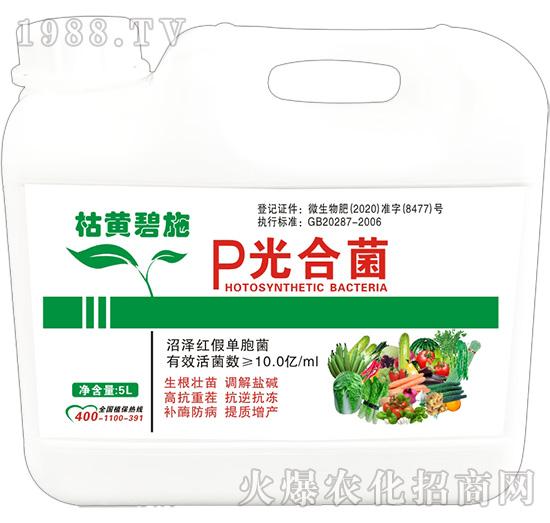 P��Ͼ�-���S��ʩ��Ͱ��-����