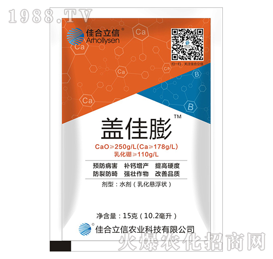 �w����-�Ѻ�����