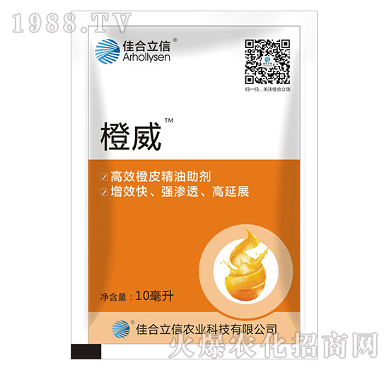 ����-�Ѻ�����