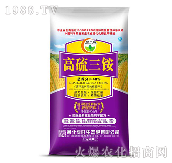 40kg��������24-13-11-�G�S��-�G��