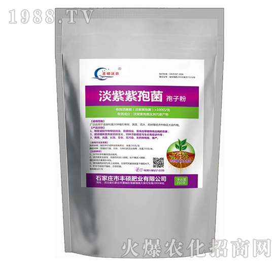 �������߾�-�S�T�ʘI(y��)