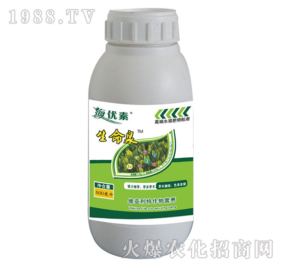 ���~����Ȫ-�S������