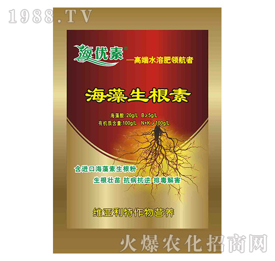 ����������-�S������