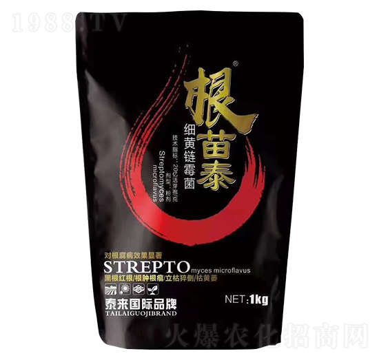 ���S�ù��-����̩-̩���ʘI(y��)