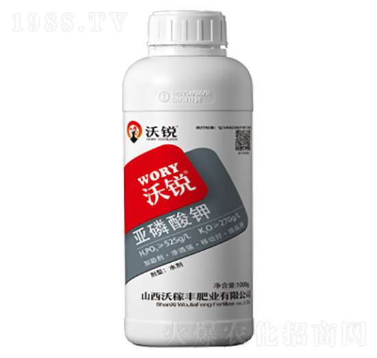 �������-���J-�ּ��S�ʘI(y��)