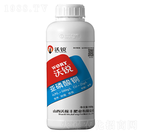 �������~-���J-�ּ��S�ʘI(y��)