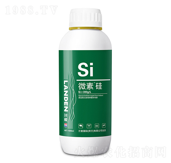 ΢��®��-�п����r(n��ng)