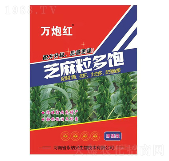 ֥�������-�f�ڼt-���{�d