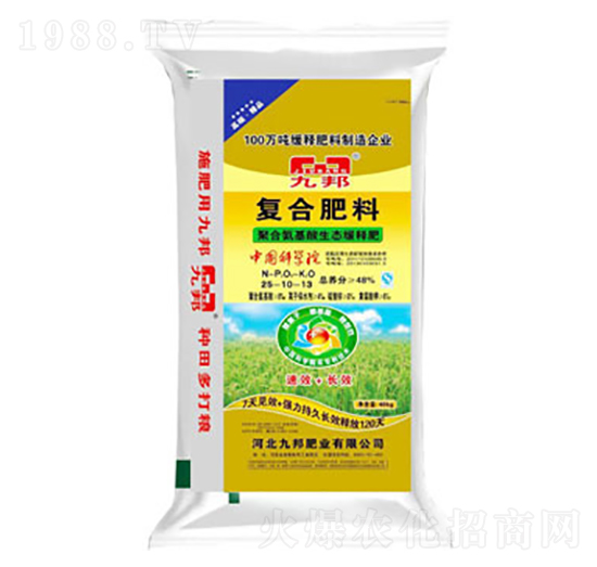 �ͺϷ���25-10-13-�Ű�