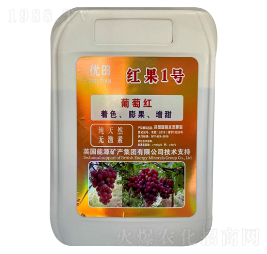 �t��1̖-��(y��u)��-�µ����