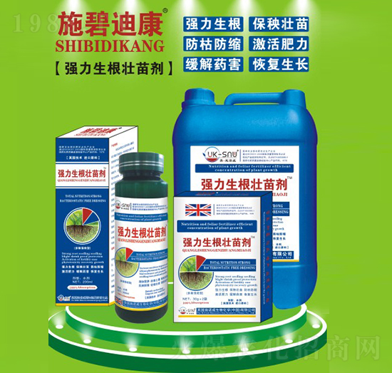 �����������焩-ʩ�̵Ͽ�-ʩ�Z��