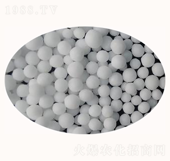 �w�������-����ʘI(y��)