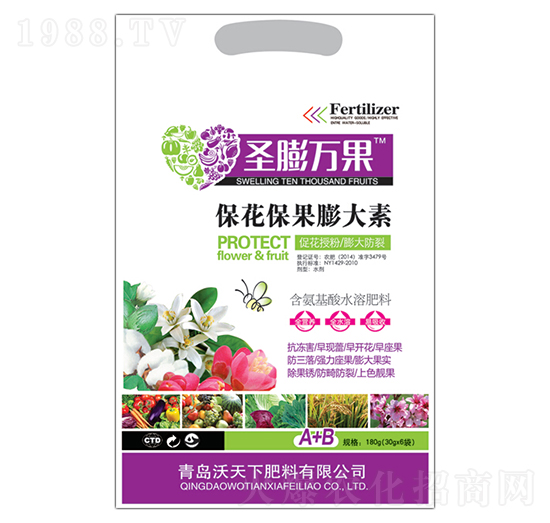 �������������-ʥ���f��-������