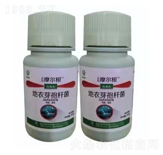 ����ѿ�ߗU��-Ħ����