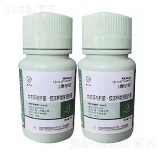 ΢�������������-Ħ����