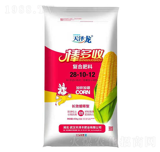 �L(zh��ng)Ч����͏�(f��)�Ϸ���28-10-12-������-�����