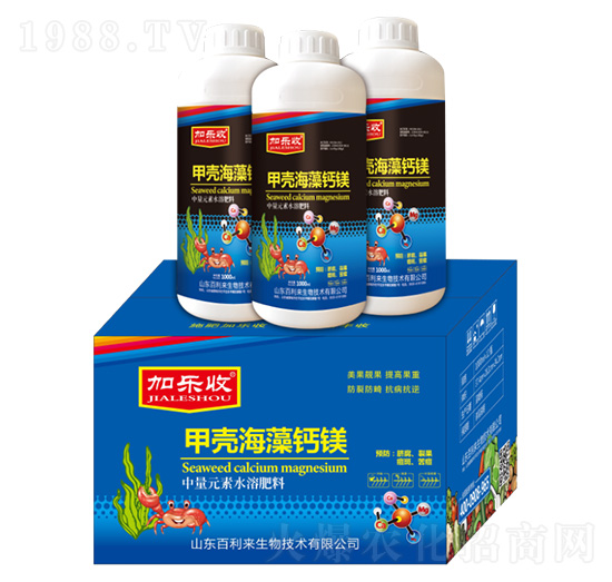 �ך������}�V-�Ә�(l��)��-������(l��i)