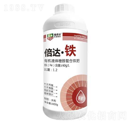 1000g���_���F-���_